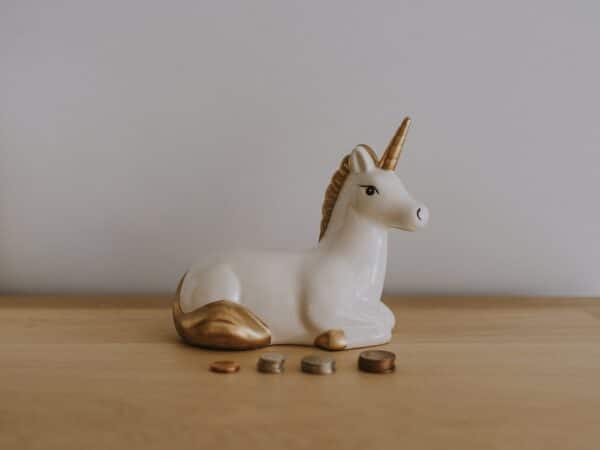 Start-up unicorn