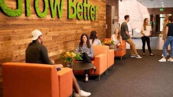 Alphabet Still in the Hunt for HubSpot Localogy