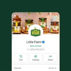 What's New with WhatsApp , Localogy