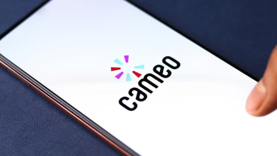 D-list Platform Cameo on Shaky Financial Ground , Localogy