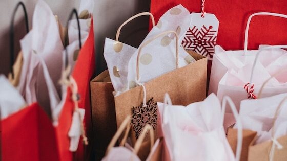 2025 Holiday Shopping Playbook: A Conversation with Network Solutions