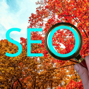 How AI Helps Businesses Spot Seasonal Local Search Trends
