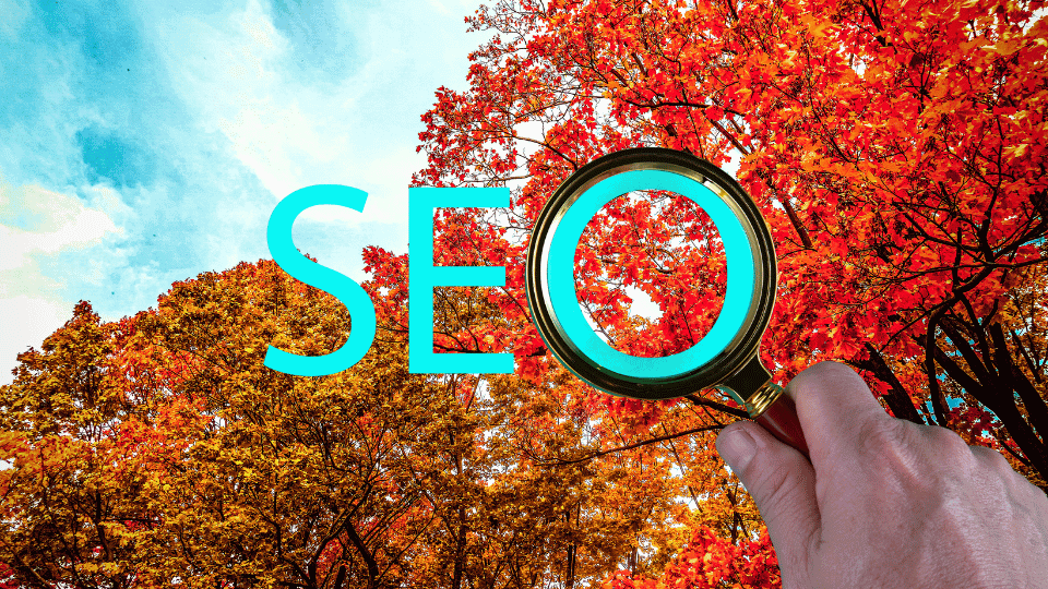 How AI Helps Businesses Spot Seasonal Local Search Trends